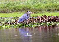 IMG_1335