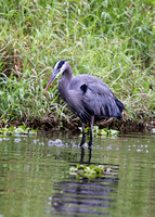 IMG_1219